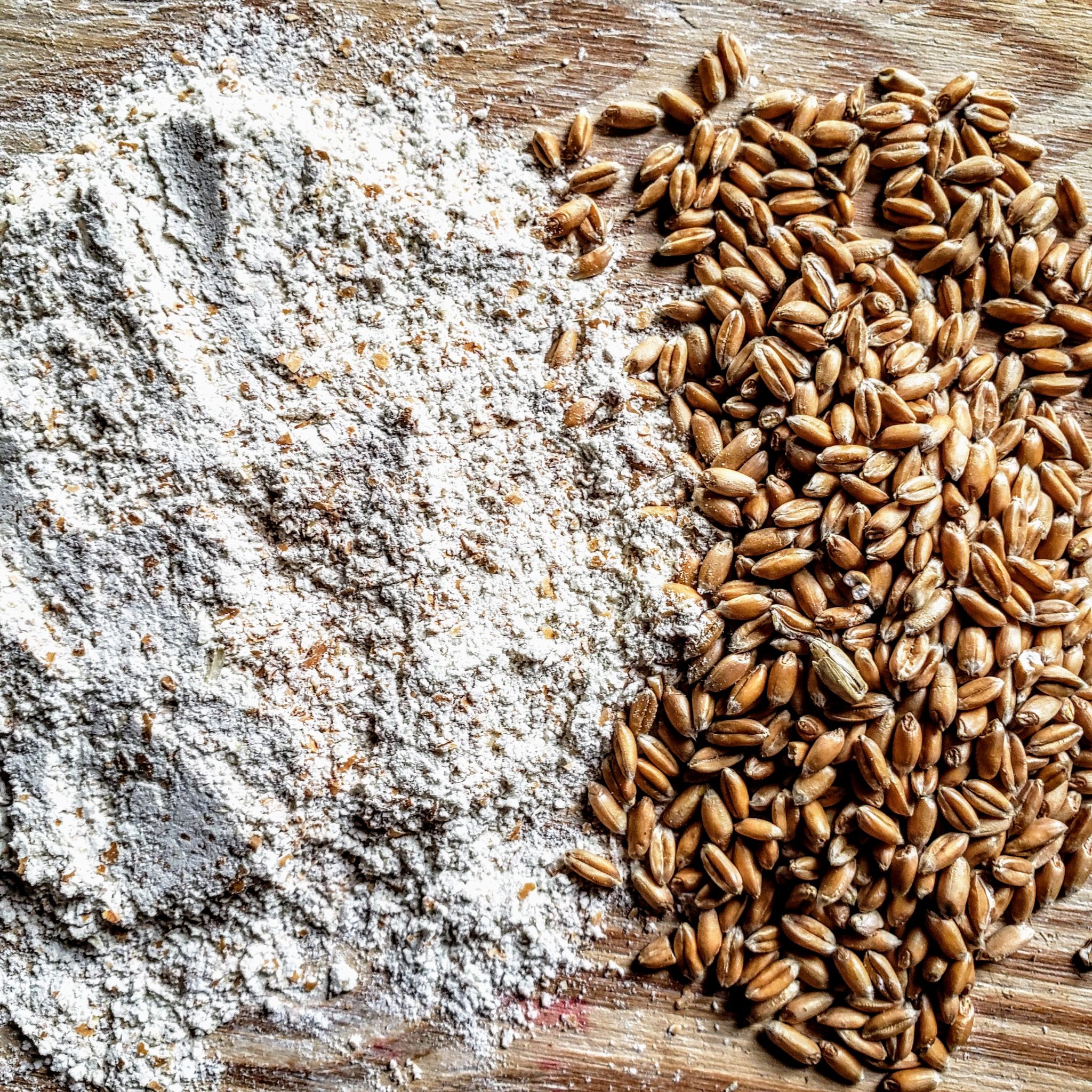 spelt-flour-wades-mill